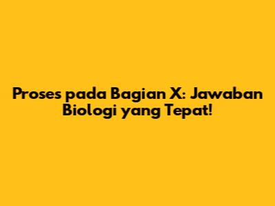 Proses pada Bagian X: Jawaban Biologi yang Tepat!