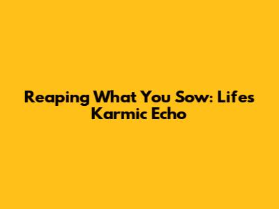 Reaping What You Sow: Life's Karmic Echo