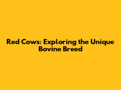 Red Cows: Exploring the Unique Bovine Breed