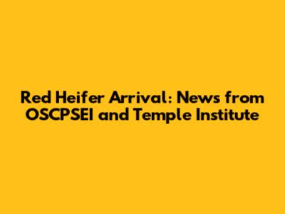 Red Heifer Arrival: News from OSCPSEI and Temple Institute