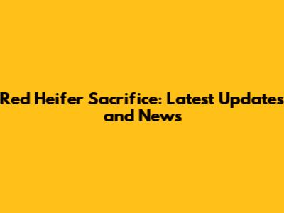Red Heifer Sacrifice: Latest Updates and News