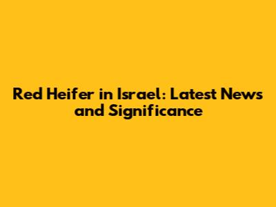 Red Heifer in Israel: Latest News and Significance