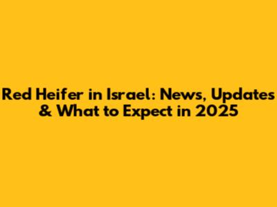 Red Heifer in Israel: News, Updates & What to Expect in 2025