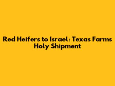 Red Heifers to Israel: Texas Farm's Holy Shipment