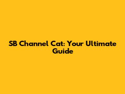 SB Channel Cat: Your Ultimate Guide