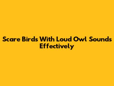 Scare Birds With Loud Owl Sounds Effectively