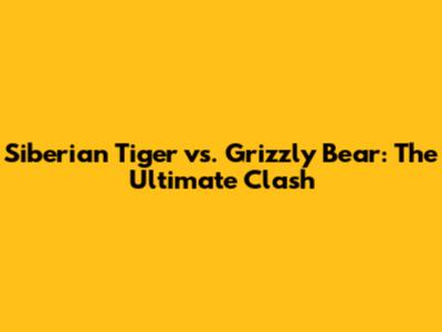 Siberian Tiger vs. Grizzly Bear: The Ultimate Clash