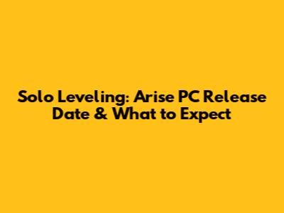 Solo Leveling: Arise PC Release Date & What to Expect