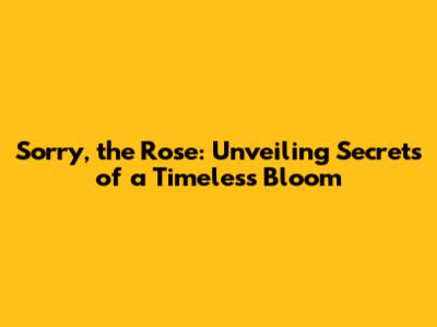 Sorry, the Rose: Unveiling Secrets of a Timeless Bloom