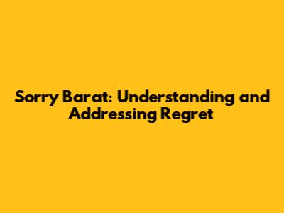 Sorry Barat: Understanding and Addressing Regret