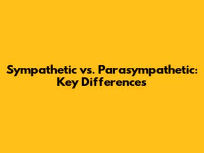 Sympathetic vs. Parasympathetic: Key Differences