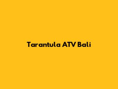 Tarantula ATV Bali