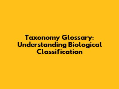 Taxonomy Glossary: Understanding Biological Classification