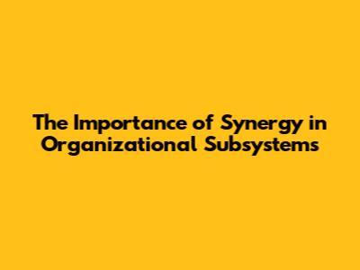 The Importance of Synergy in Organizational Subsystems