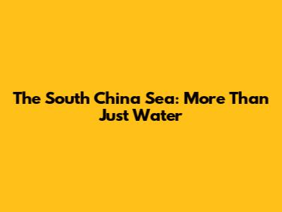 The South China Sea: More Than Just Water