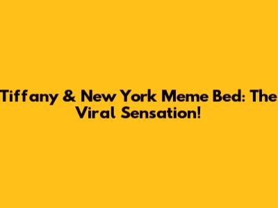 Tiffany & New York Meme Bed: The Viral Sensation!