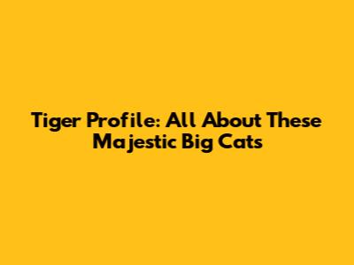 Tiger Profile: All About These Majestic Big Cats