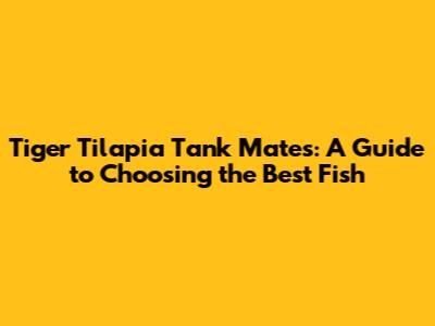 Tiger Tilapia Tank Mates: A Guide to Choosing the Best Fish