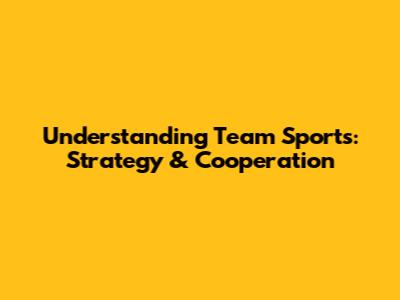 Understanding Team Sports: Strategy & Cooperation
