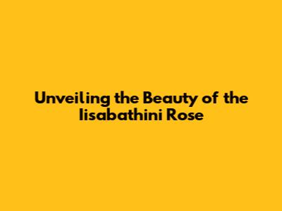 Unveiling the Beauty of the 'Iisabathini Rose'