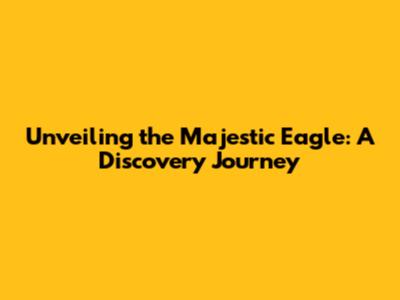 Unveiling the Majestic Eagle: A Discovery Journey