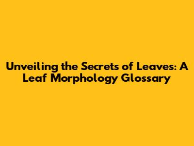 Unveiling the Secrets of Leaves: A Leaf Morphology Glossary