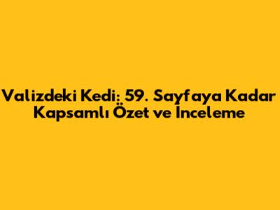 Valizdeki Kedi: 59. Sayfaya Kadar Kapsamlı Özet ve İnceleme