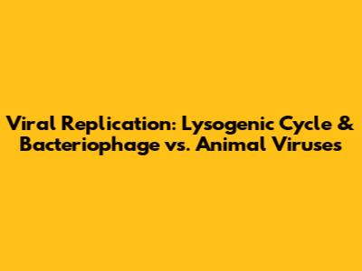 Viral Replication: Lysogenic Cycle & Bacteriophage vs. Animal Viruses