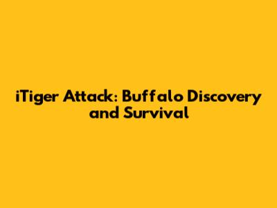 iTiger Attack: Buffalo Discovery and Survival