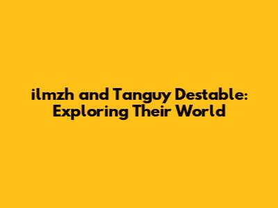 ilmzh and Tanguy Destable: Exploring Their World
