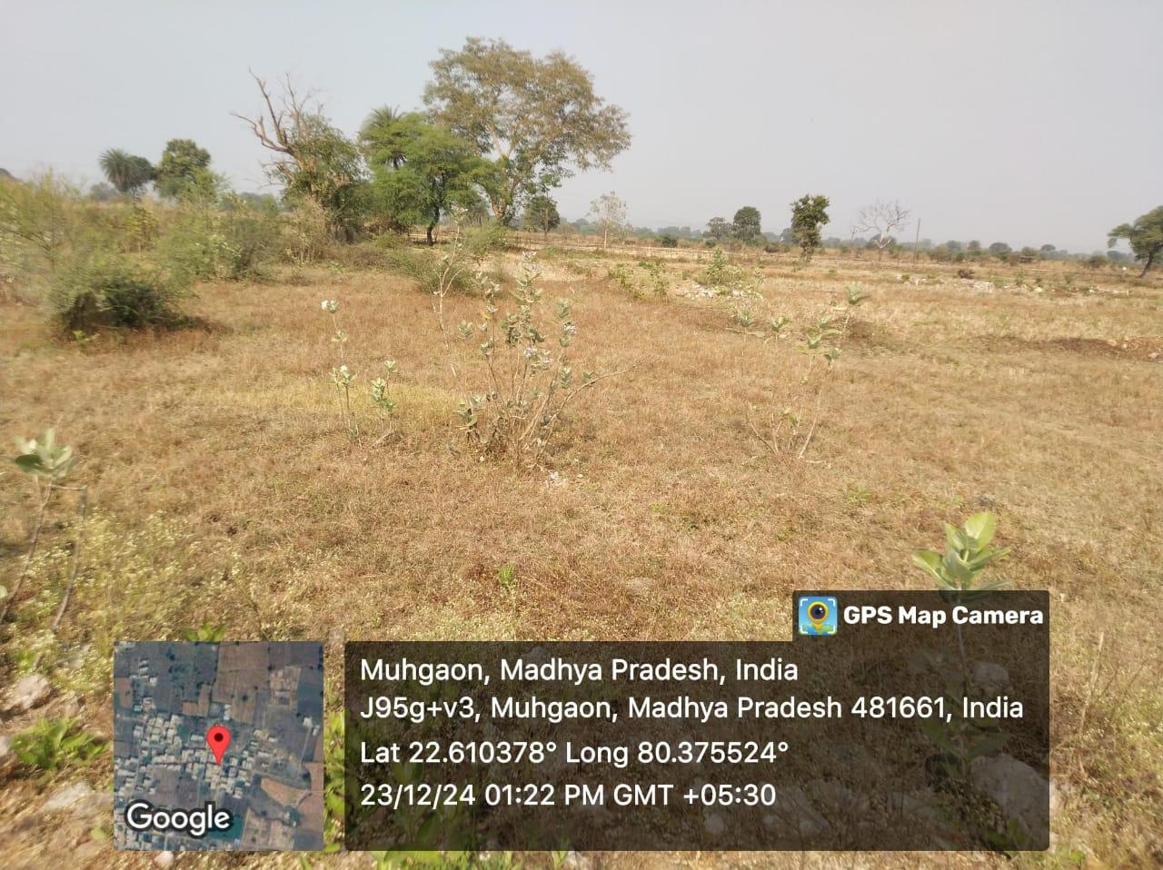 1500 sqft Plots for Sale in Sharda Colony, Mandla – ₹1000 per sqft