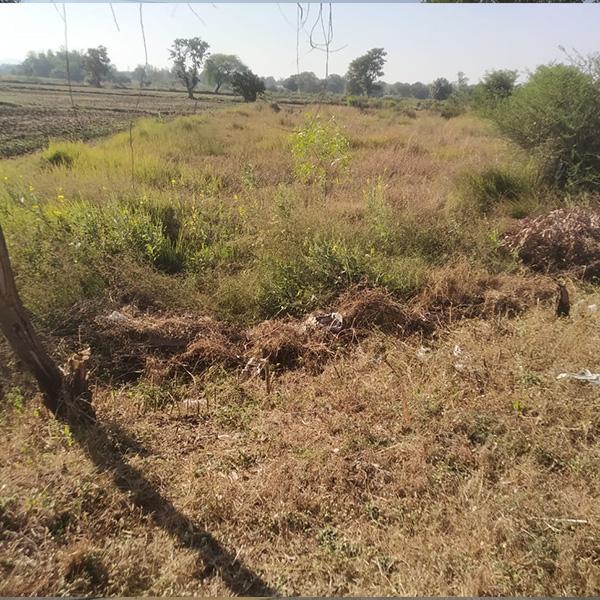 10000 sqft Commercial Plot for Sale on Highway Road, Mandla – ₹1100/sqft