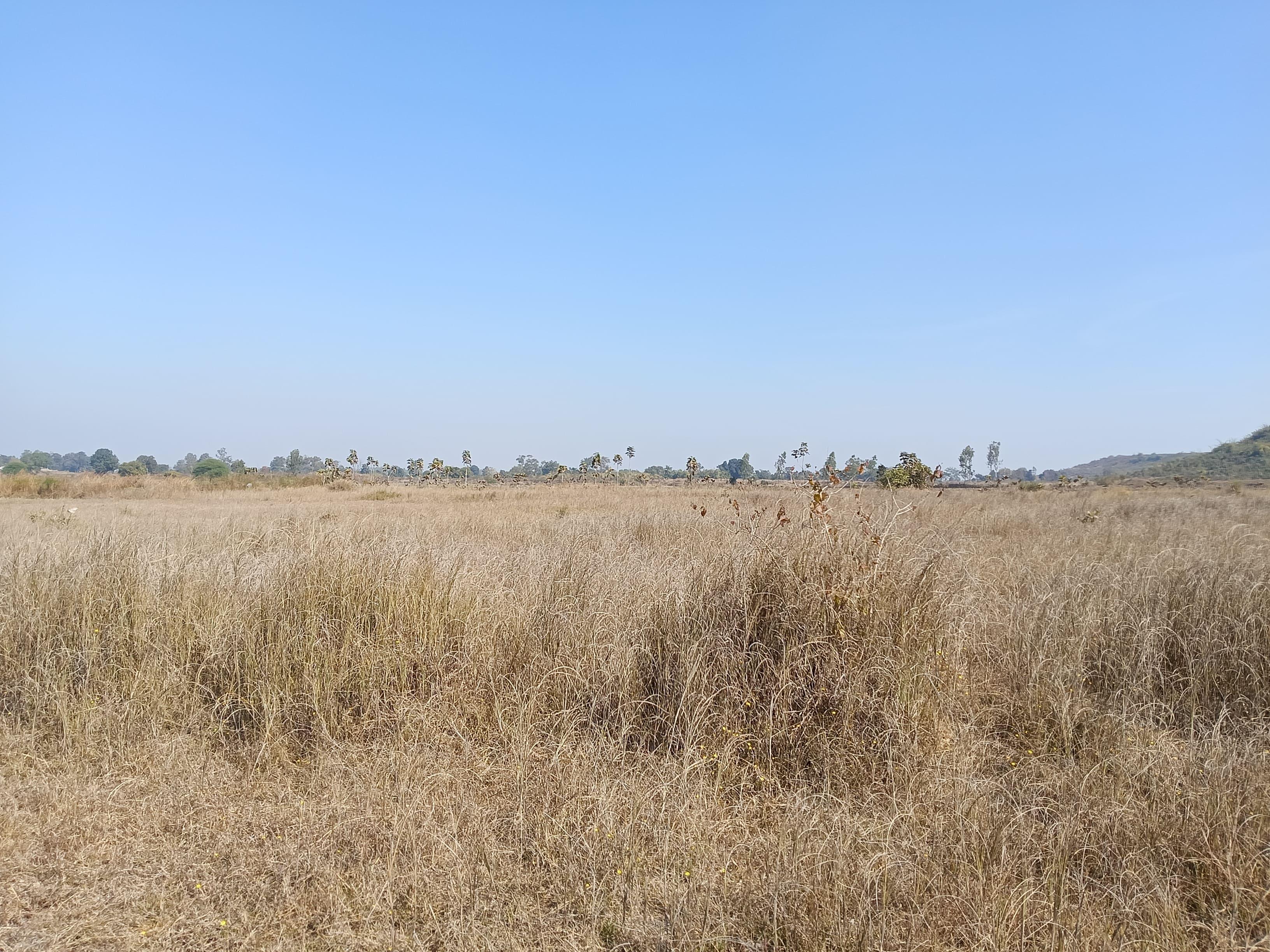 3.55 Acre Agricultural Land for Sale in Jahar Mau, Mandla – ₹25 Lakh