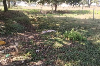 1650 Sq. Ft. Residential Plot for Sale Near Sharda Cement Pipe, Gonji, Mandla