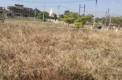 Compact Yet Perfect Plot in Mridukishore Colony, Katra, Mandla