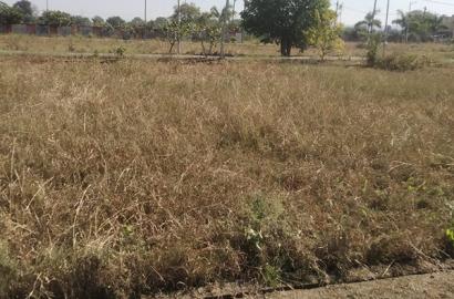 Affordable Plot in Narmada Valley, Katra, Mandla