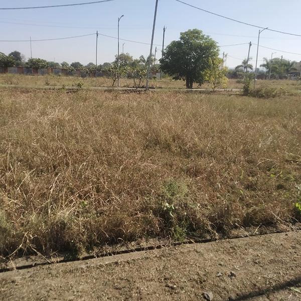 Affordable Plot in Narmada Valley, Katra, Mandla