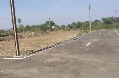 Premium 3 Adjacent Plots of 1650 Sq. Ft. Each in Gokul Dham, Maharajpur, Mandla