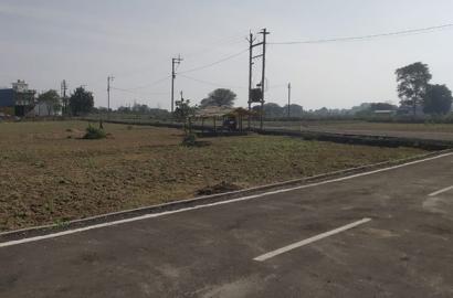 3 Adjacent Plots of 1500 Sq. Ft. Each Available in Gokul Dham, Maharajpur, Mandla