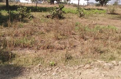 1500 Sq. Ft. Residential Plot for Sale Near Sharda Cement Pipe, Gonji, Mandla