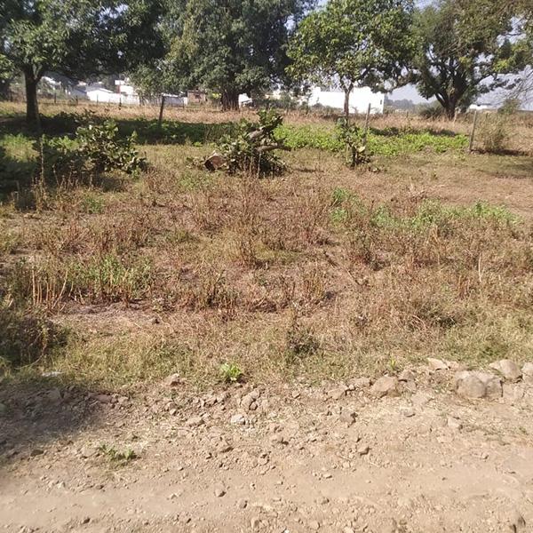 1500 Sq. Ft. Residential Plot for Sale Near Sharda Cement Pipe, Gonji, Mandla