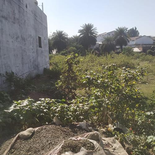 3 Residential Plots (1500 sqft Each) for Sale in Sanjay Nagar, Narmada Colony, Mandla – ₹1200/sqft