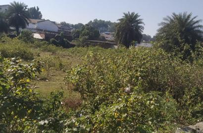 3 Residential Plots (1500 sqft Each) for Sale in Sanjay Nagar, Narmada Colony, Mandla – ₹1200/sqft