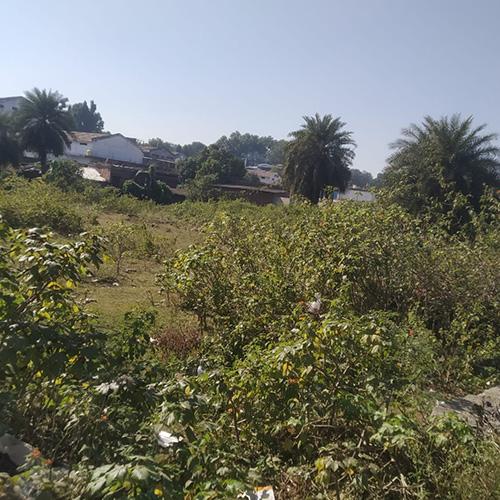 3 Residential Plots (1500 sqft Each) for Sale in Sanjay Nagar, Narmada Colony, Mandla – ₹1200/sqft