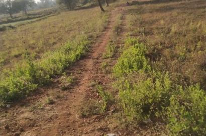 Residential Plot for Sale 30×60 (1800 sqft) on Highway Road, Mandla