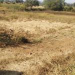 1 Acre Prime Land for Sale Near Katra Hospital, Mandla – ₹1.5 Crore Approx