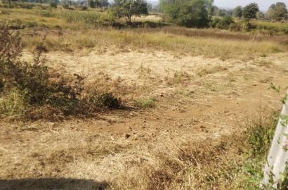 1 Acre Prime Land for Sale Near Katra Hospital, Mandla – ₹1.5 Crore Approx