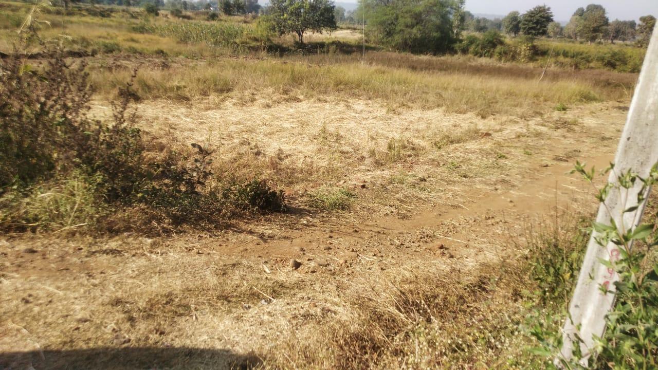 1 Acre Prime Land for Sale Near Katra Hospital, Mandla – ₹1.5 Crore Approx