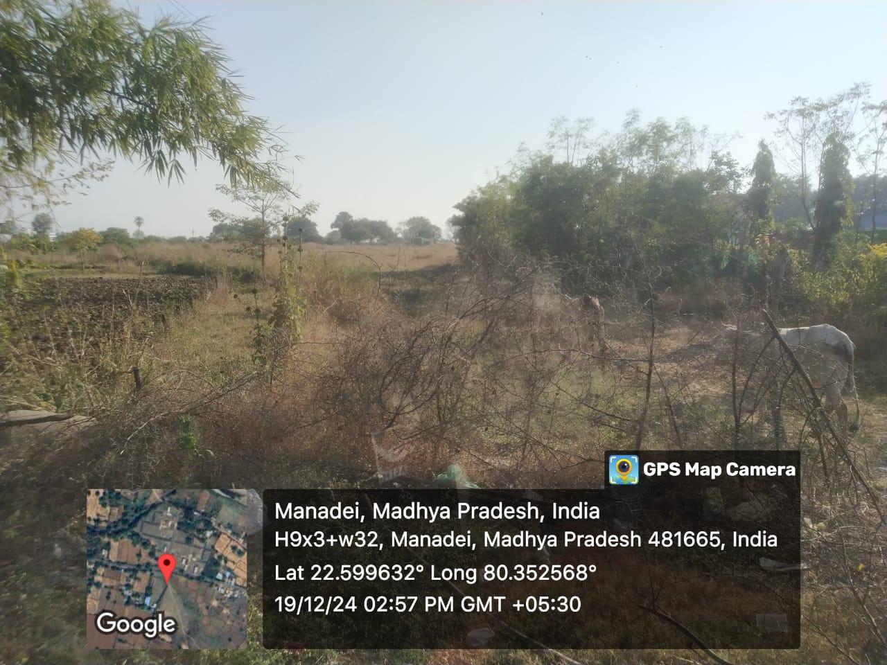 4 Acre Land for Sale Near Maharajpur Railway Station, Mandla – ₹3 Crore