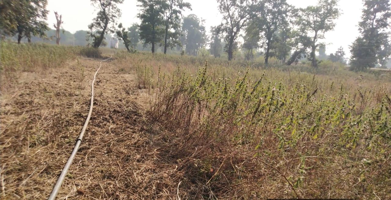 Highway Front Agricultural Land for Sale in Phulsagar, Mandla – ₹2 Crore/Acre